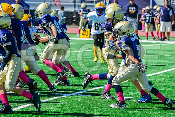 JR PEE WEE Elk Grove Herd-83
