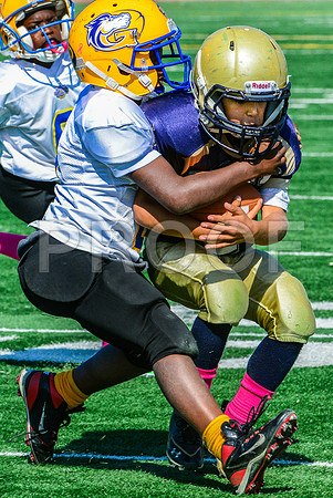JR PEE WEE Elk Grove Herd-63