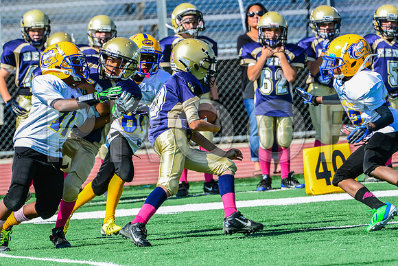 JR PEE WEE Elk Grove Herd-58