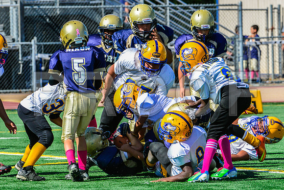 JR PEE WEE Elk Grove Herd-93