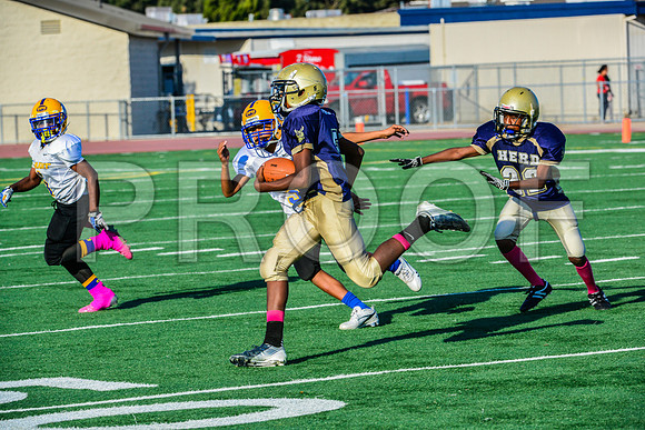Jr Midgets Elk Grove Herd-172