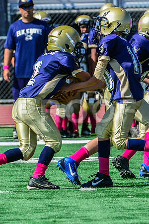 JR PEE WEE Elk Grove Herd-73