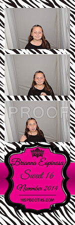 2014-11-8-0008