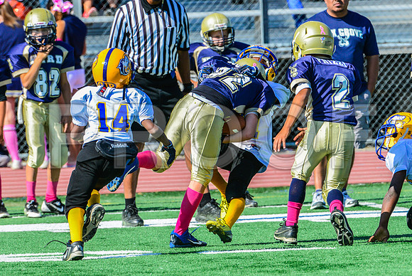 JR PEE WEE Elk Grove Herd-40