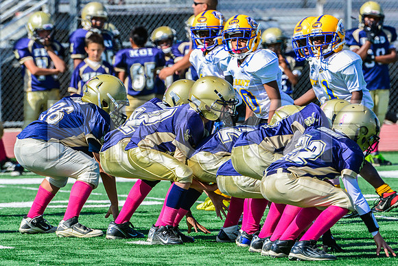 JR PEE WEE Elk Grove Herd-68