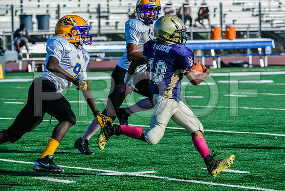 Jr Midgets Elk Grove Herd-128