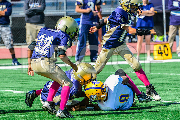 JR PEE WEE Elk Grove Herd-82