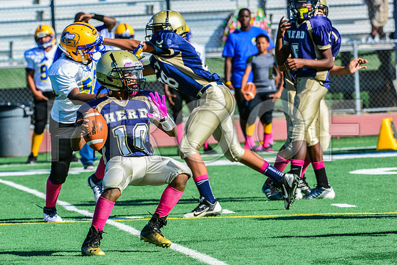 Jr Midgets Elk Grove Herd-18
