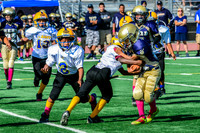 JR PEE WEE Elk Grove Herd-10