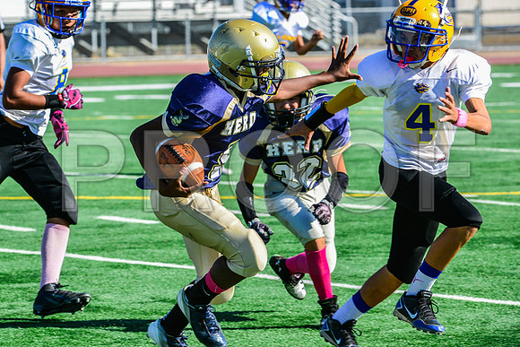 Jr Midgets Elk Grove Herd-30