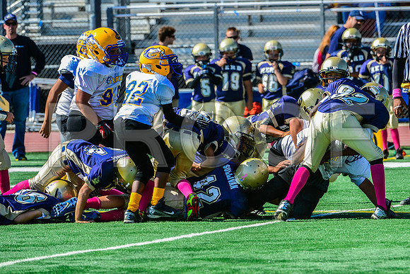 JR PEE WEE Elk Grove Herd-88