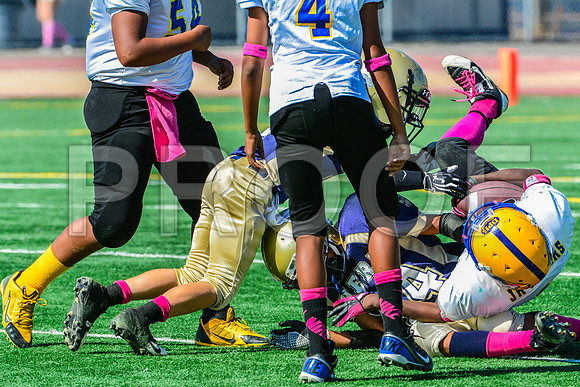 PEE WEE Elk Grove Herd-31
