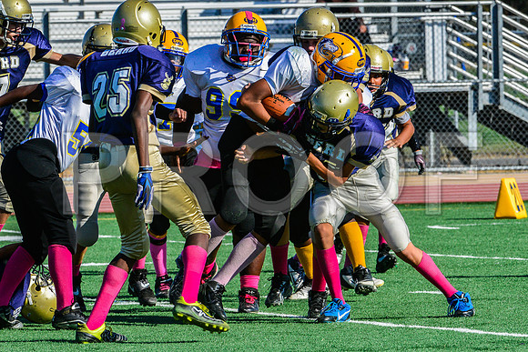 Jr Midgets Elk Grove Herd-44
