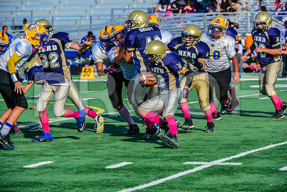 Jr Midgets Elk Grove Herd-154