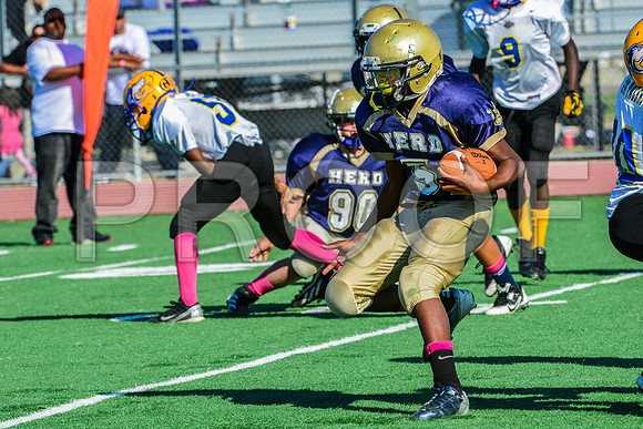 Jr Midgets Elk Grove Herd-76