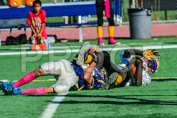 Jr Midgets Elk Grove Herd-91