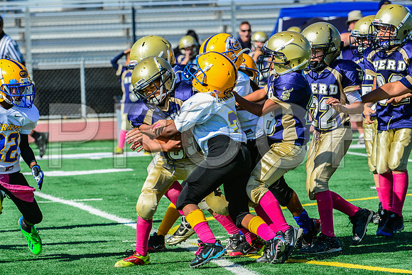 JR PEE WEE Elk Grove Herd-13