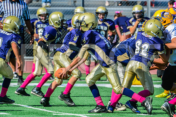 JR PEE WEE Elk Grove Herd-38