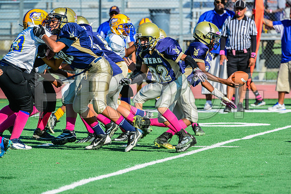 Jr Midgets Elk Grove Herd-73