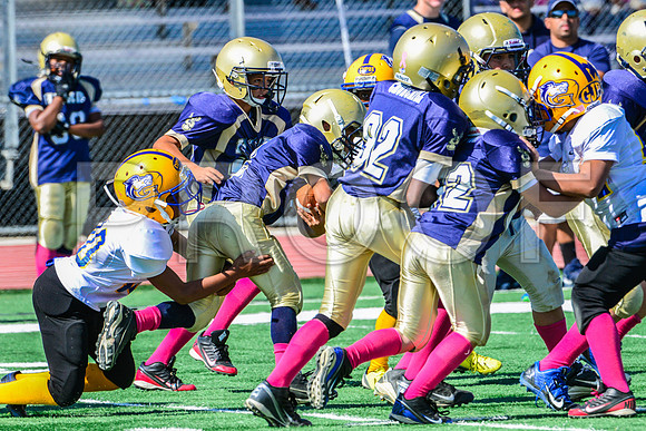 JR PEE WEE Elk Grove Herd-72