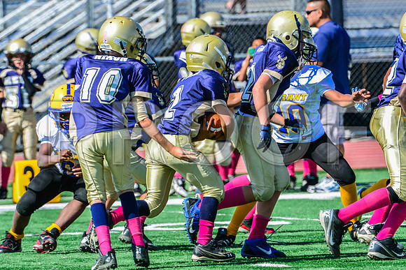 JR PEE WEE Elk Grove Herd-71