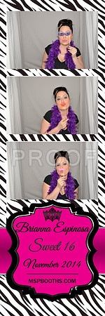 2014-11-8-0062