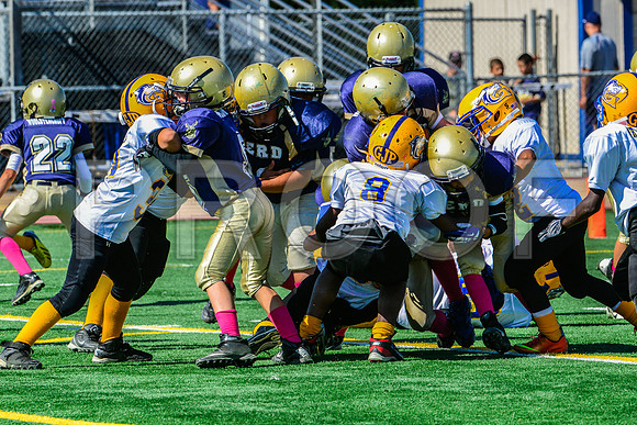 JR PEE WEE Elk Grove Herd-92