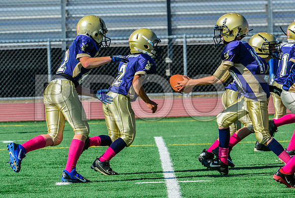 JR PEE WEE Elk Grove Herd-33
