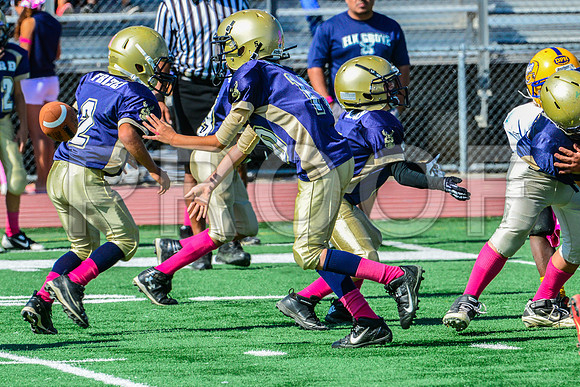 JR PEE WEE Elk Grove Herd-39
