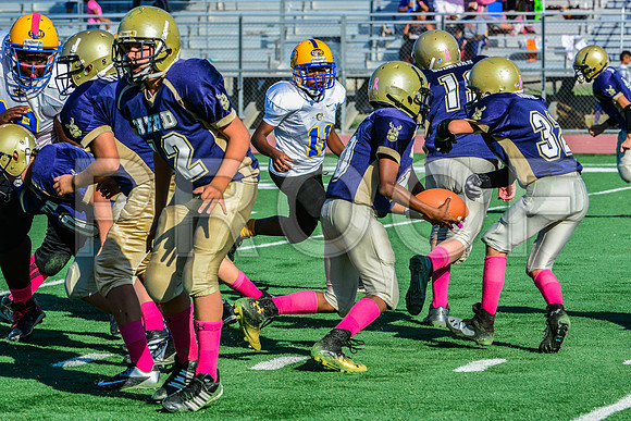Jr Midgets Elk Grove Herd-98