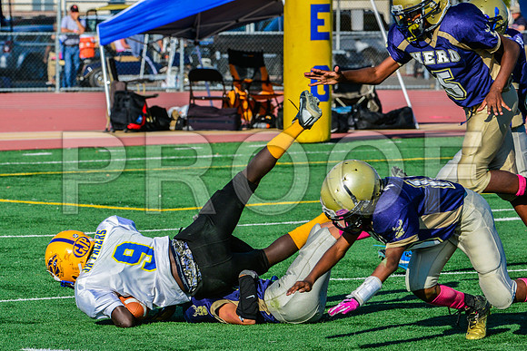 Jr Midgets Elk Grove Herd-116
