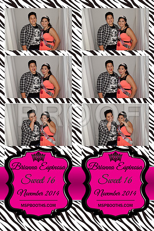 2014-11-8-0021-d