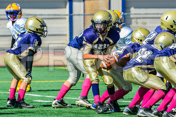 JR PEE WEE Elk Grove Herd-50