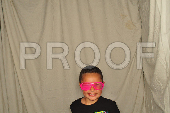 2015-6-13-0051-4