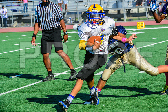 Jr Midgets Elk Grove Herd-94