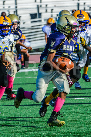 Jr Midgets Elk Grove Herd-127