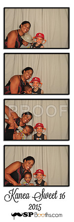 2015-7-19-0029