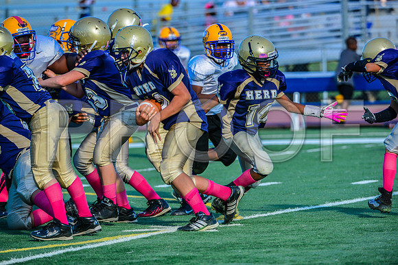 Jr Midgets Elk Grove Herd-149