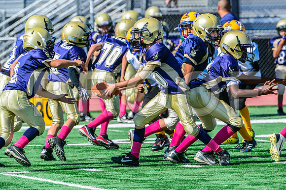 JR PEE WEE Elk Grove Herd-70