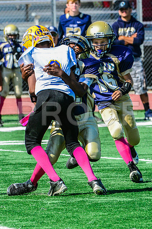 JR PEE WEE Elk Grove Herd-80