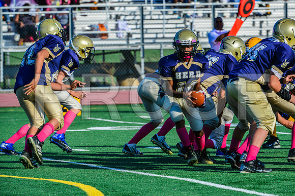 Jr Midgets Elk Grove Herd-124