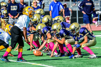 JR PEE WEE Elk Grove Herd-5