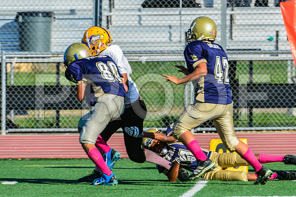 Jr Midgets Elk Grove Herd-113