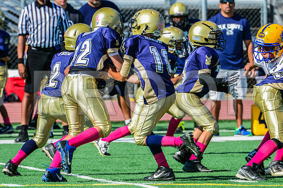 JR PEE WEE Elk Grove Herd-37