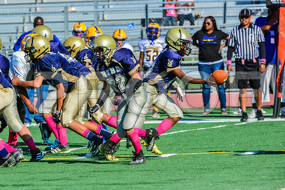 Jr Midgets Elk Grove Herd-60
