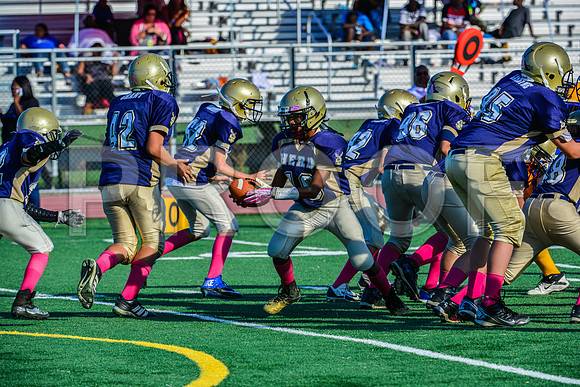 Jr Midgets Elk Grove Herd-125