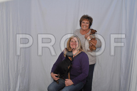 2013-11-17-0037-3