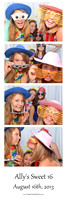 2013-8-16-0005