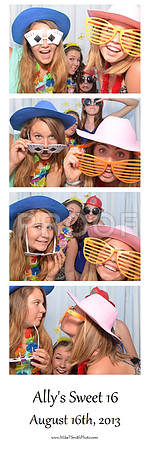 2013-8-16-0005