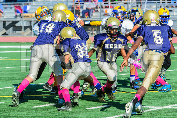 Jr Midgets Elk Grove Herd-54